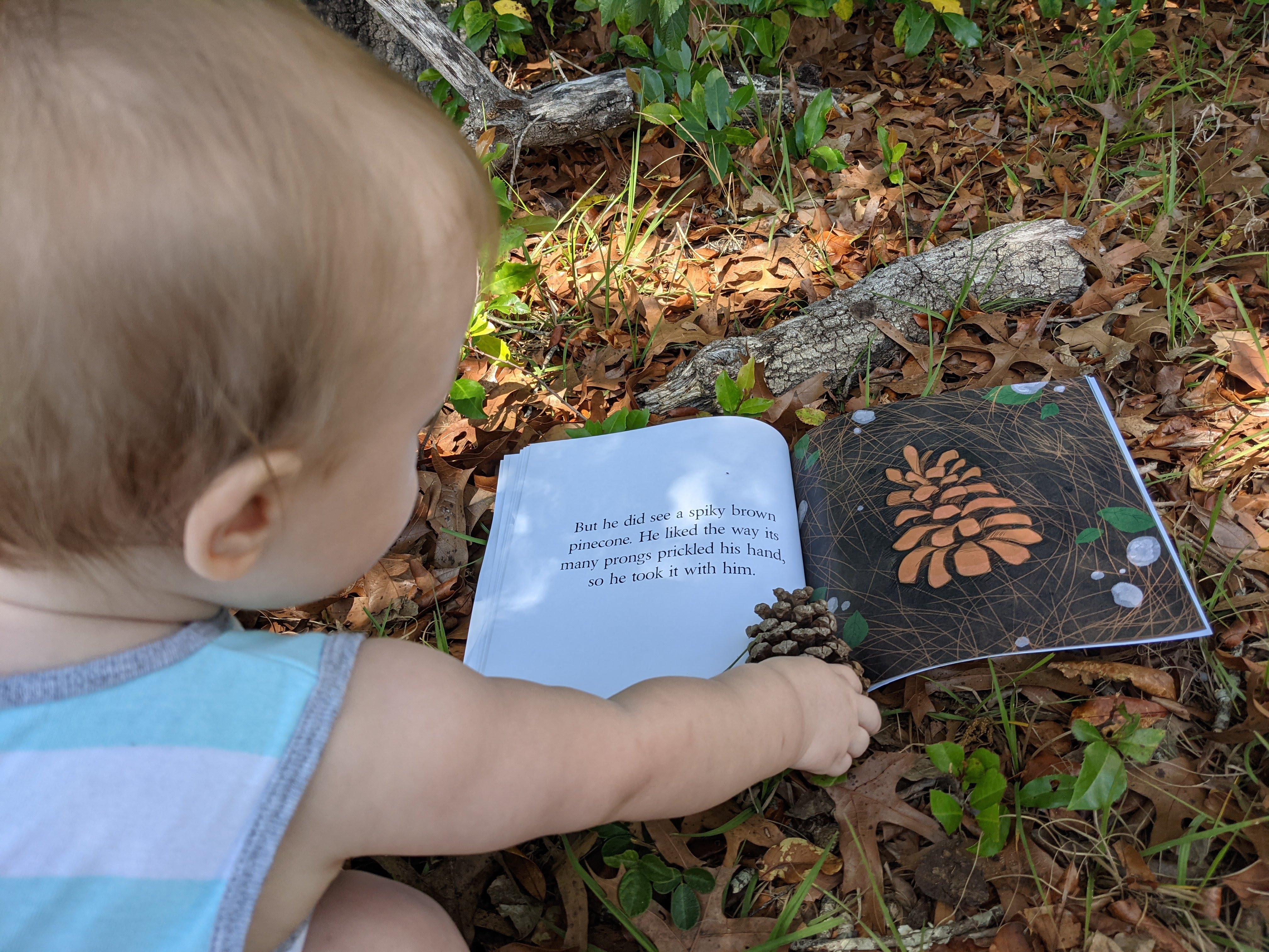 Child reading Atlas and the Lucky Flower while holding a real pinecone